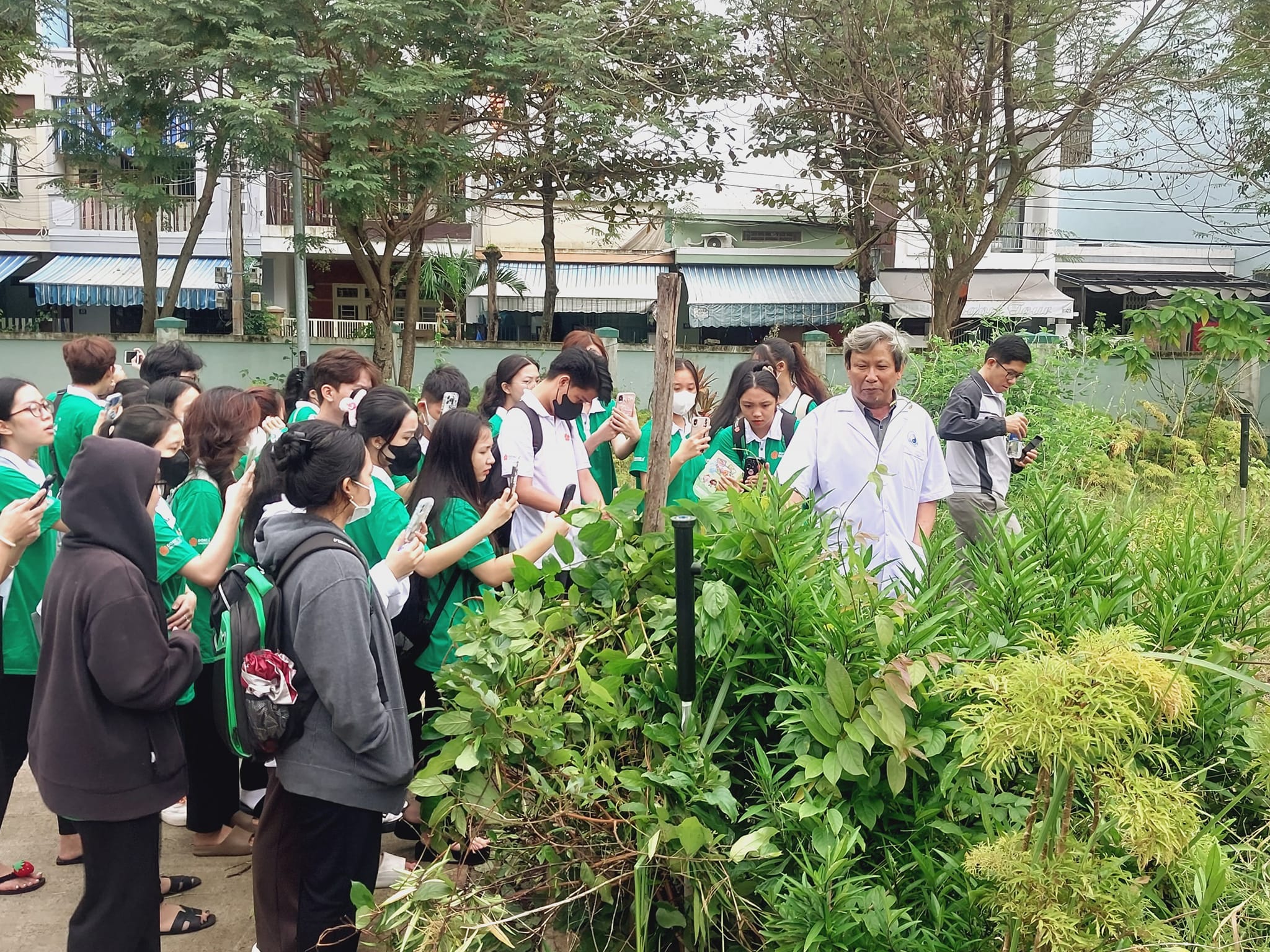 💐💐PHÁT HUY HIỆU QUẢ MÔ HÌNH VƯỜN THUỐC NAM 💐💐